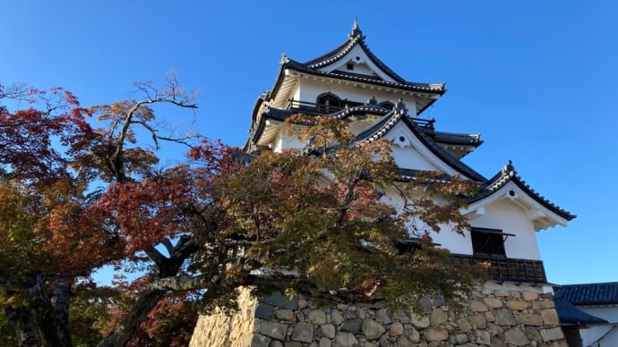 紅葉の京都と滋賀の旅③ 近江八幡〜彦根城