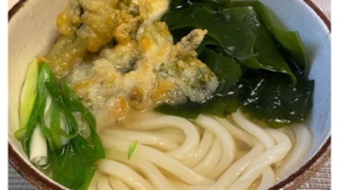 ごまめ自家製うどん・255~2021.03.13