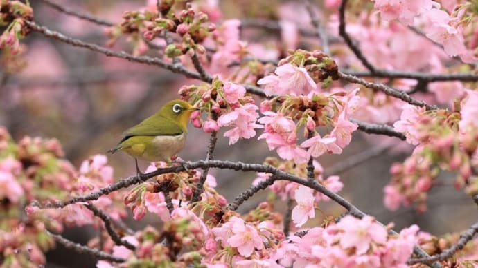 近くの公園