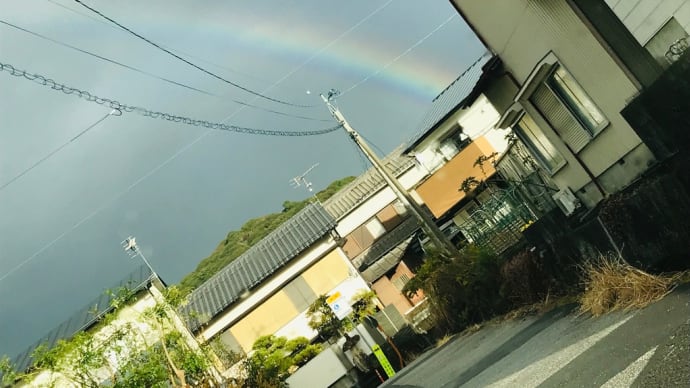 しぼりたて新酒！解禁しました「浜川　美丈夫　特別純米酒　しぼりたて生原酒」＠西寅