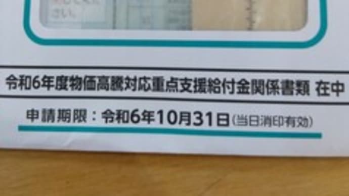 【貰えるものは貰う】給付金10万円の入金ありました。【住民税非課税世帯】(8/9)