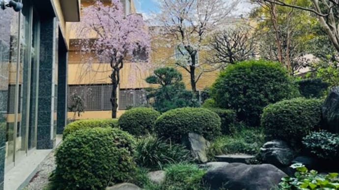 インディペンデンスヴィレッジ成城西の庭園 櫻の風景 ※2023年3月29日午後撮影