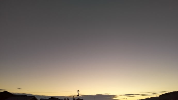 オムツゼロへ