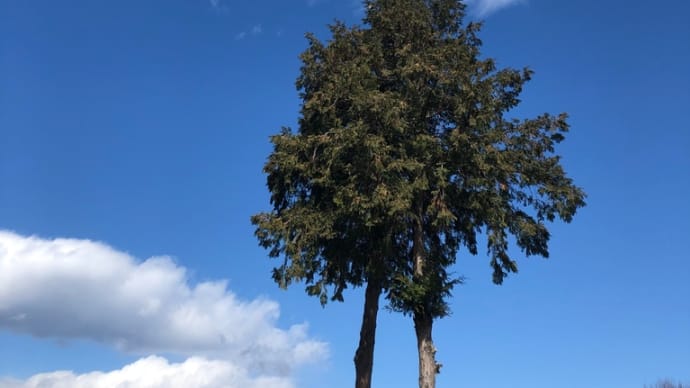 草花公園