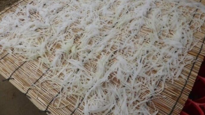 切干大根を作っています。