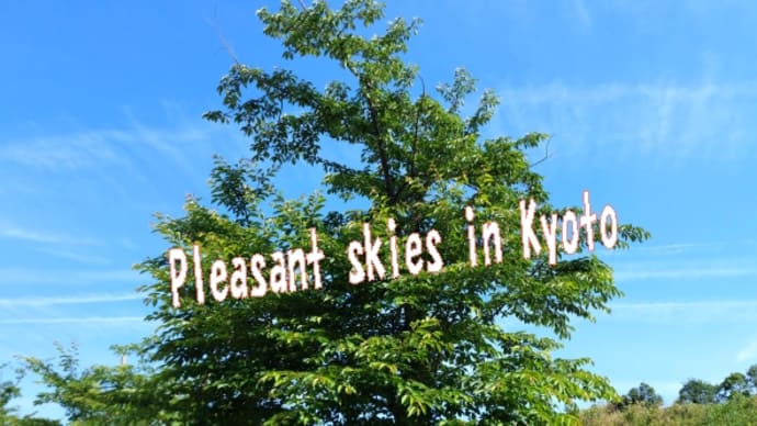 🌺安い苗たち京都長岡京市、強くて長持ち秀花園🪴(しょうかえん)&美味しかったインスタント焼きそば