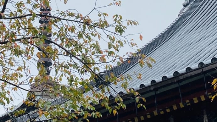 雨引観音へ
