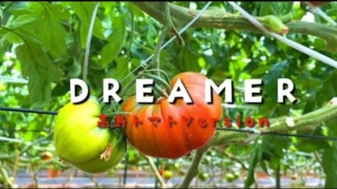 高島農園 愛情も栄養も〜🎵 トマト🍅