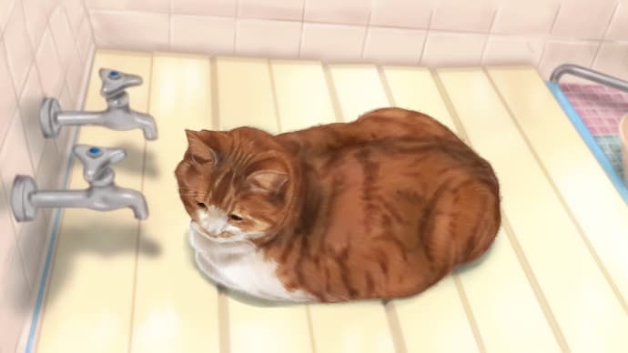 お風呂場のとらちゃん