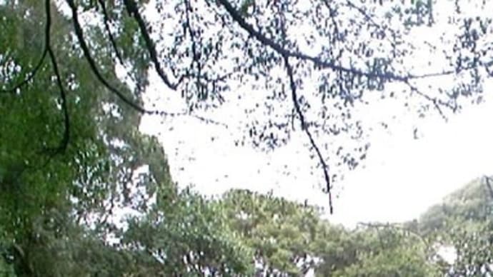 ヘミシンクしながら夜中のエア神社参拝