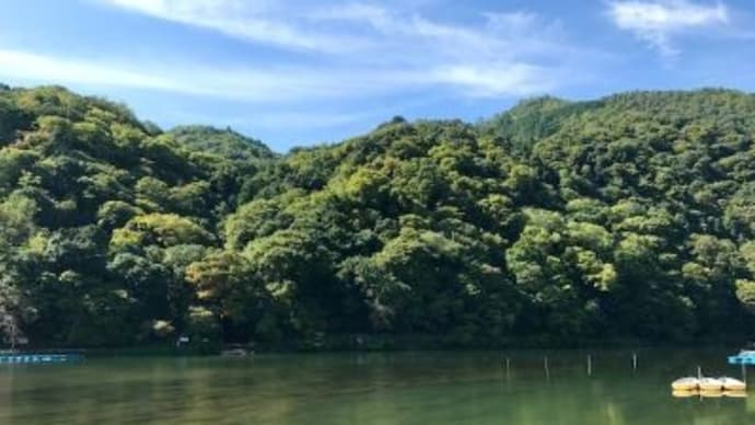 どうぶつ美術館