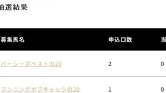 シルク 結果発表を終えて