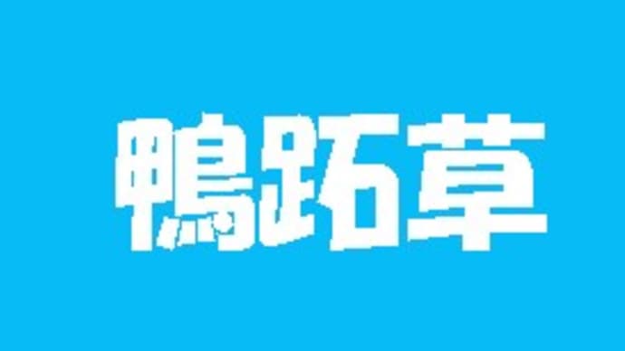 「熟字訓・これ何と読む?-123-」について考える