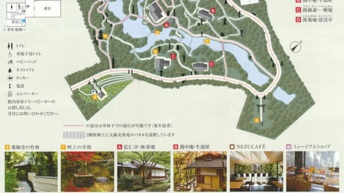 根津美術館の燕子花図屏風と庭園散策