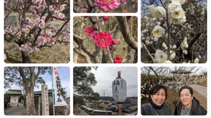 月一知多 2022年2月