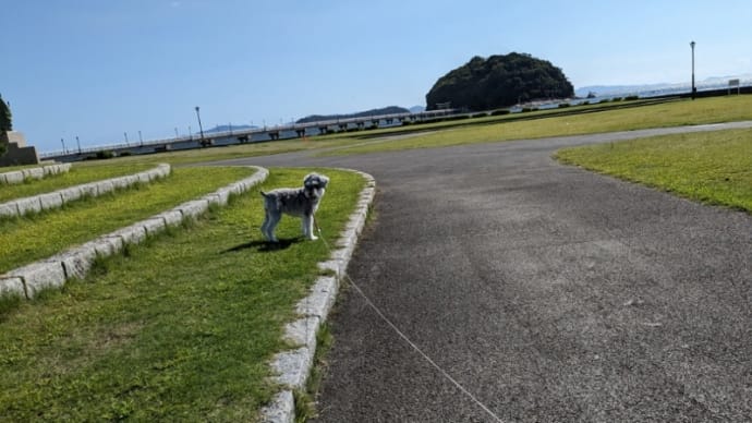 蒲郡・竹島