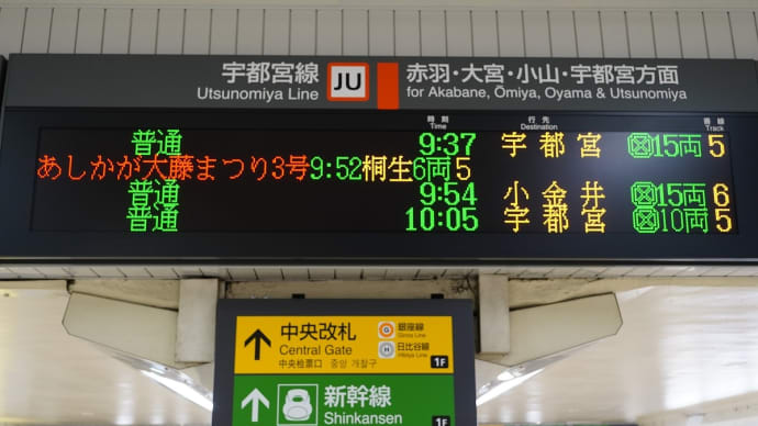あしかがフラワーパーク(その1)快速あしかが大藤まつり3号は185系
