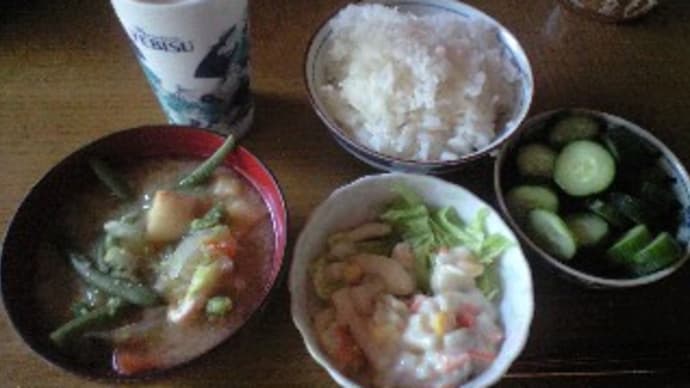リハビリから、サマーウォーズまで
