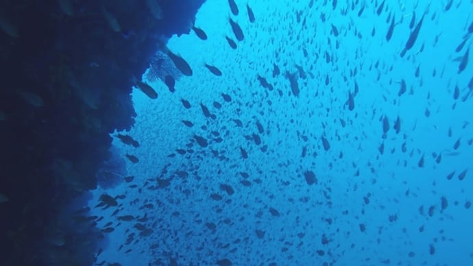 こんぶの日の海は