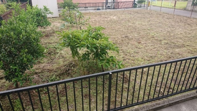 聞こえたのか?見たのか? (´ー`A;)