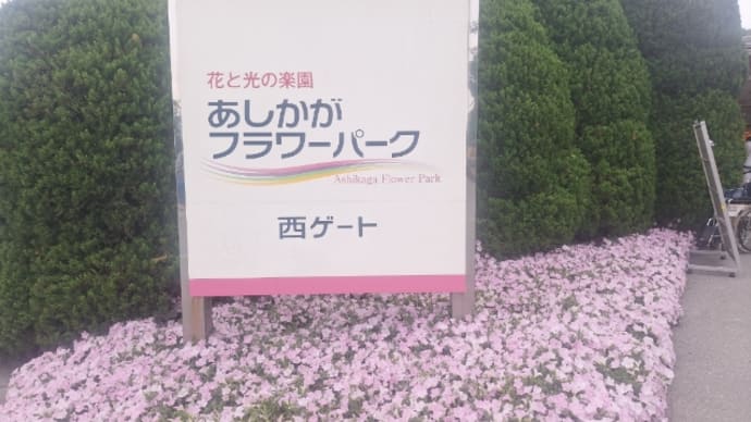 あしかがフラワーパーク「ふじのはな物語~大藤まつり2025~」1