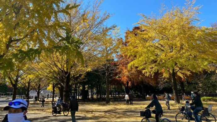 もうすぐ終わりです　都会の紅葉　光が丘公園