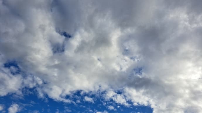 いうが易し行うは難し!