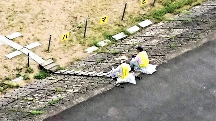 今日の一日は如何に?・・美化活動の二人のしばしの語らい・・