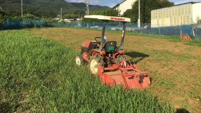 草刈りのつもりだったけど・・・