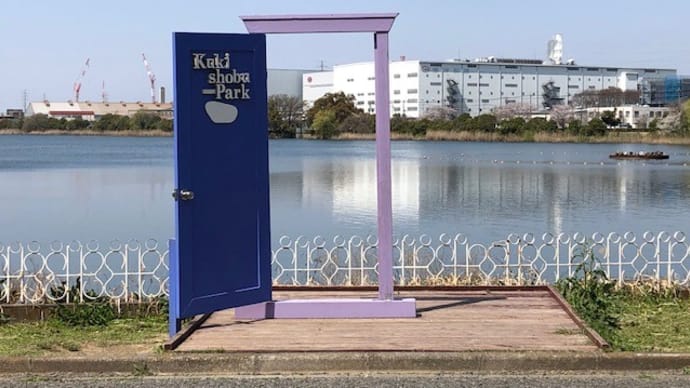 【埼玉の桜／4月5日】久喜菖蒲公園&周辺の桜は、まだ7分咲き、かな～？