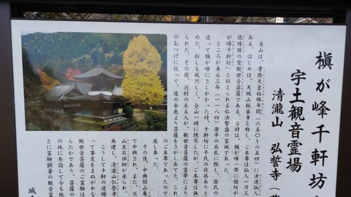 黄葉の大銀杏 ~ 宇土観音を訪ねて