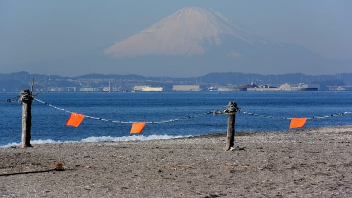 新春の下洲漁港②海鳥と漁港の佇まい