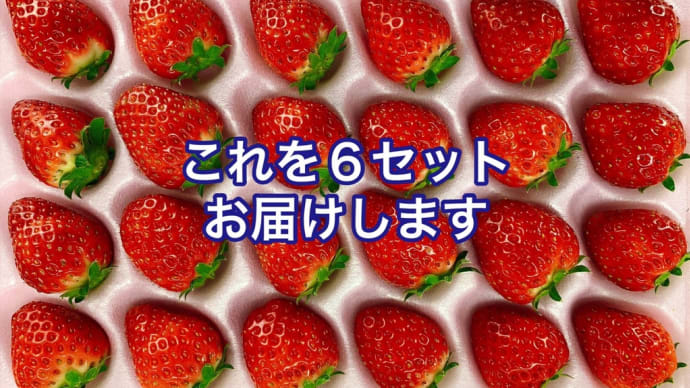 #お家でいちご狩り🍓Season2〜夏秋〜