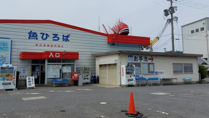 潮干狩り ~ 愛知県南知多町 鳶ヵ崎 大井潮干狩り場