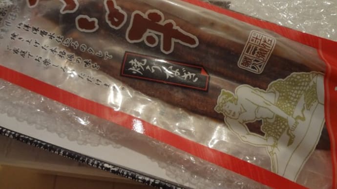 高知銀行からうなぎとジェラート届きました