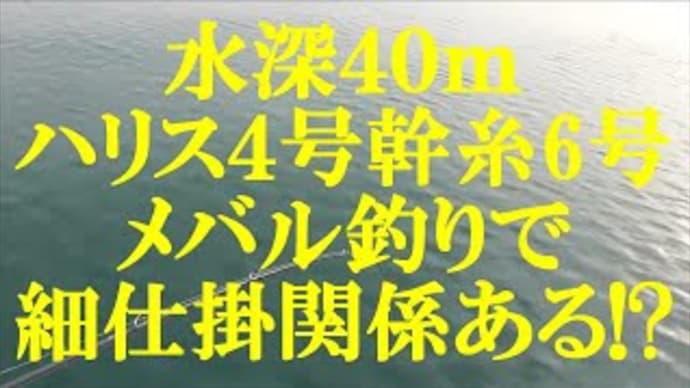 メバルにも細仕掛無用!
