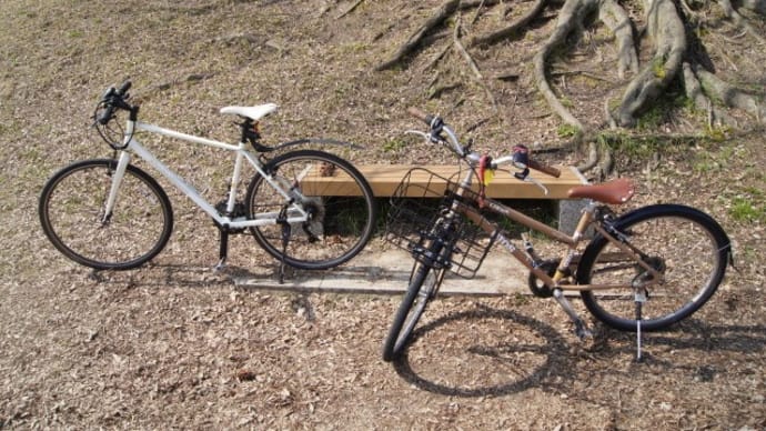 自転車で鞍馬口通りを走る