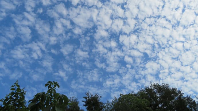 楽しい空
