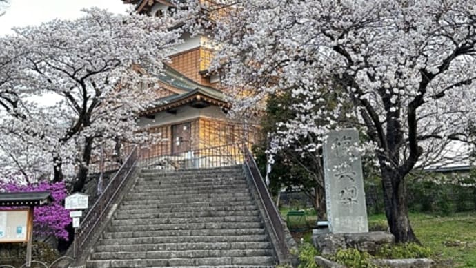 桜の高島城
