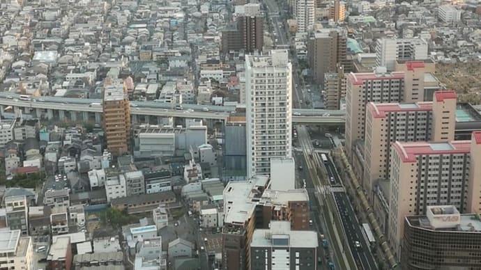高慢チキになってない?