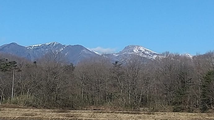 小春日和ですね。