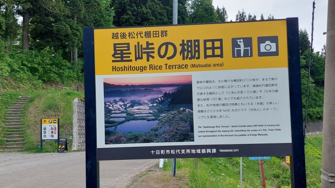 星峠の棚田