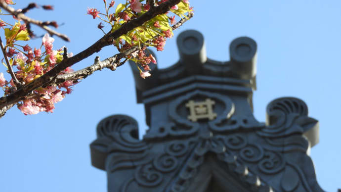 葉桜に世界一なる鬼瓦