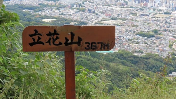 立花山 3