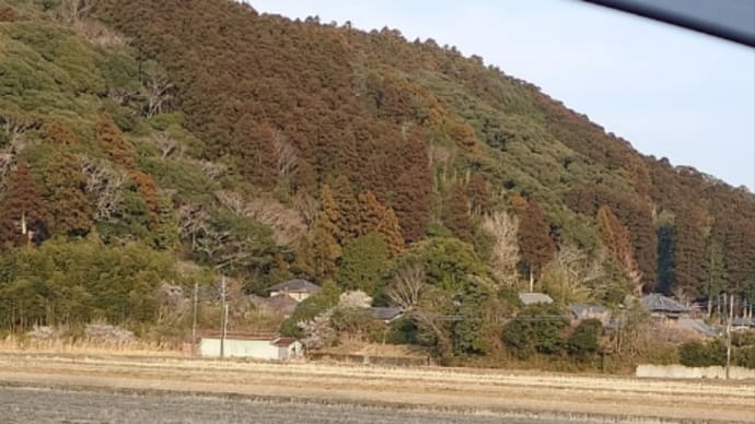 フリーマーケット行って来ました。