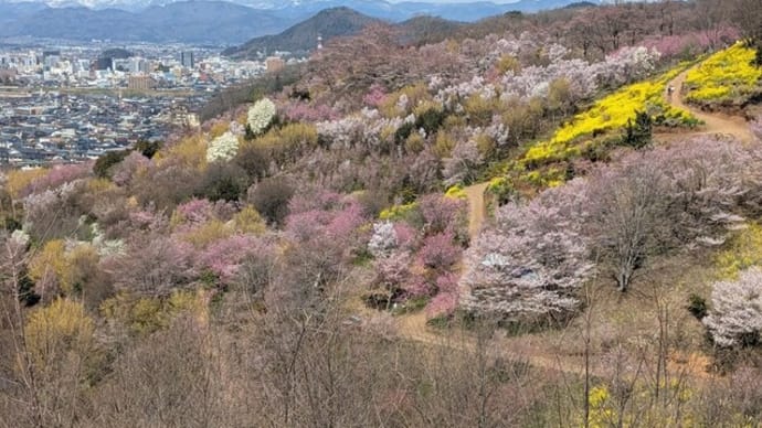 花見山 生け花の里