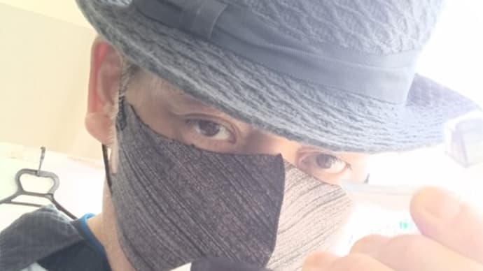 子宝弁慶草にプレゼント