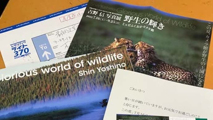 吉野信写真展「野生の輝き」がミュゼふくおかカメラ館で開催。
