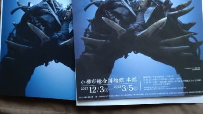アトゥイ 海と奏でるアイヌ文化