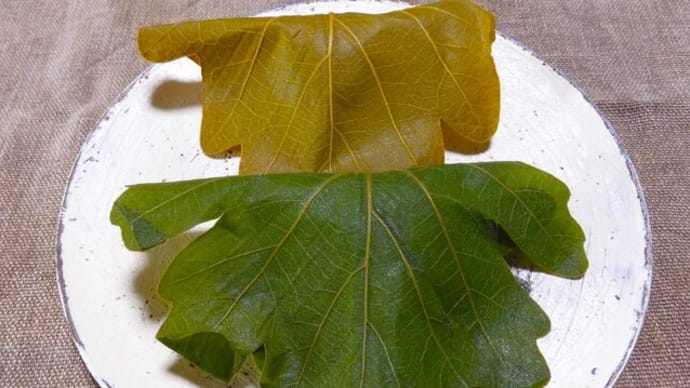 2025・5・3 長野の芍薬と茶の葉の柏餅の夜